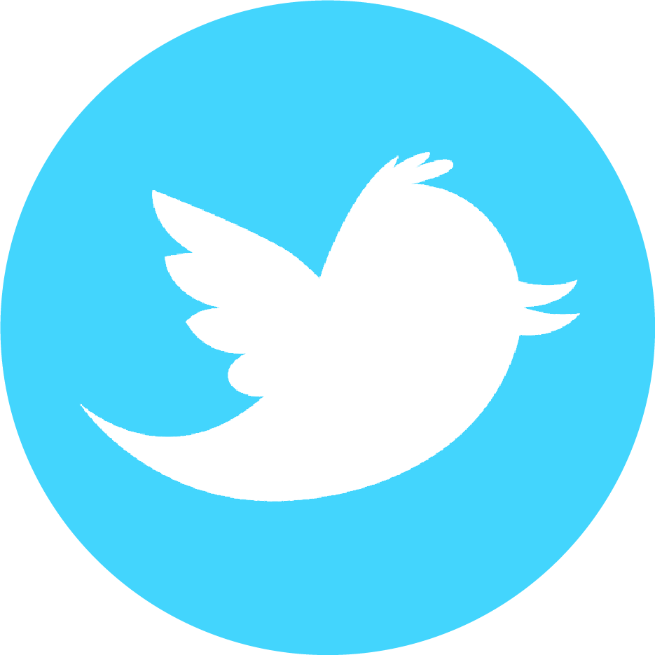 Logo Twitter